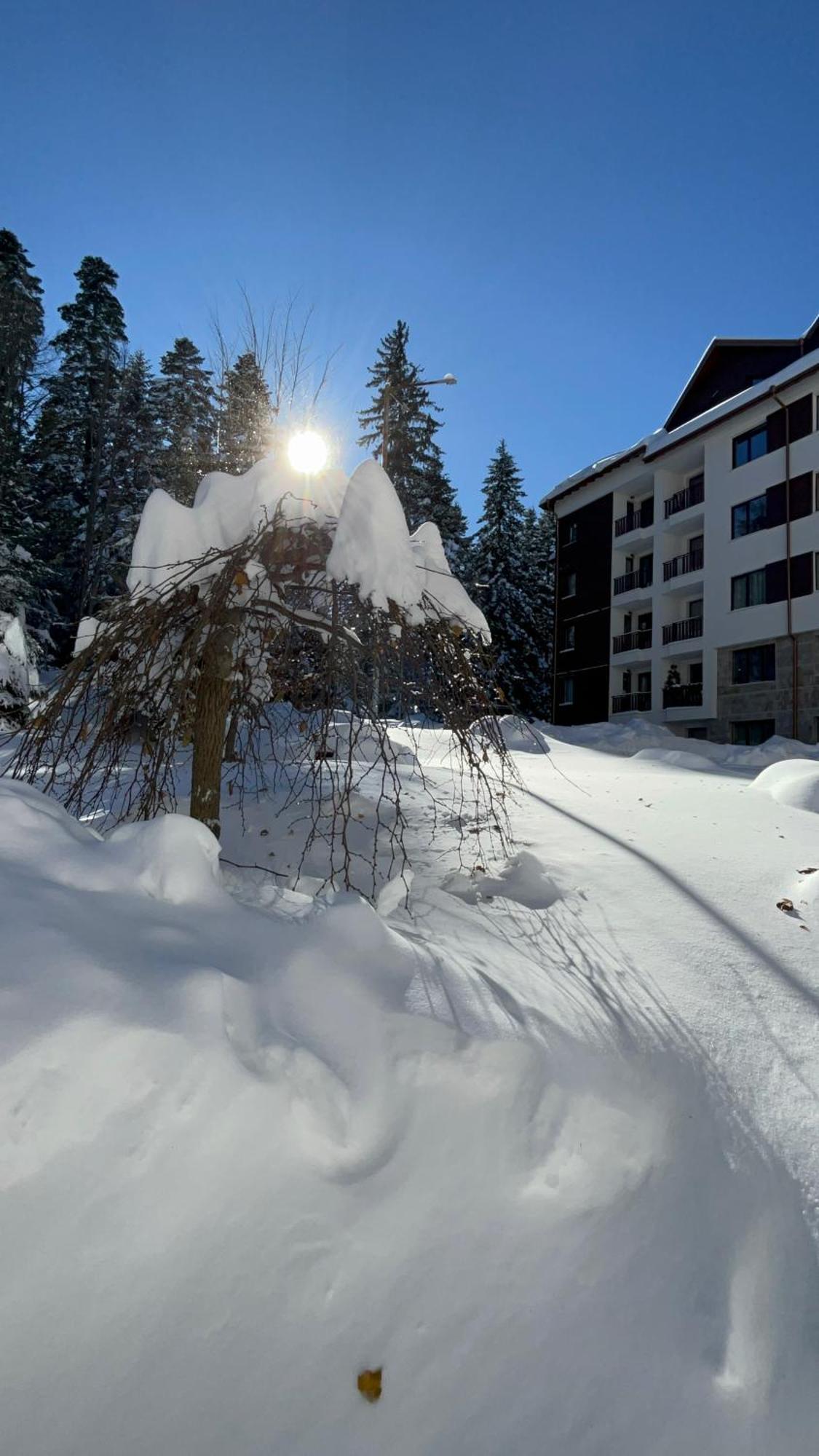 Borovets Gardens B21 Morunov Apart 외부 사진